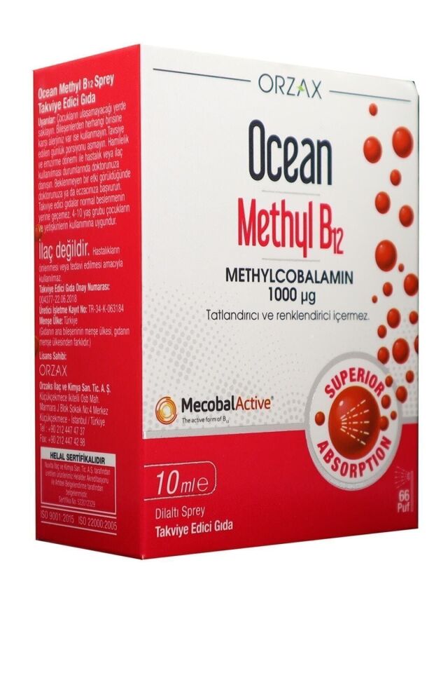 OCEAN METHYL B12 1000MCG 10ML SPREY