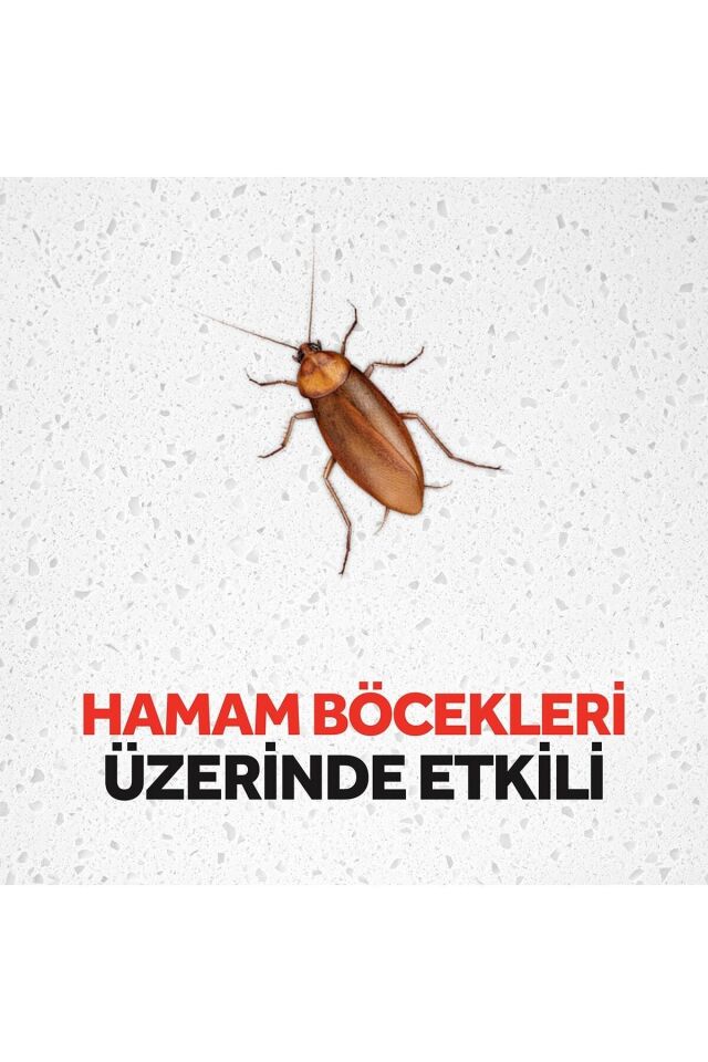 RAİD HAMAM BÖCEĞİ YEMİ 6 LI