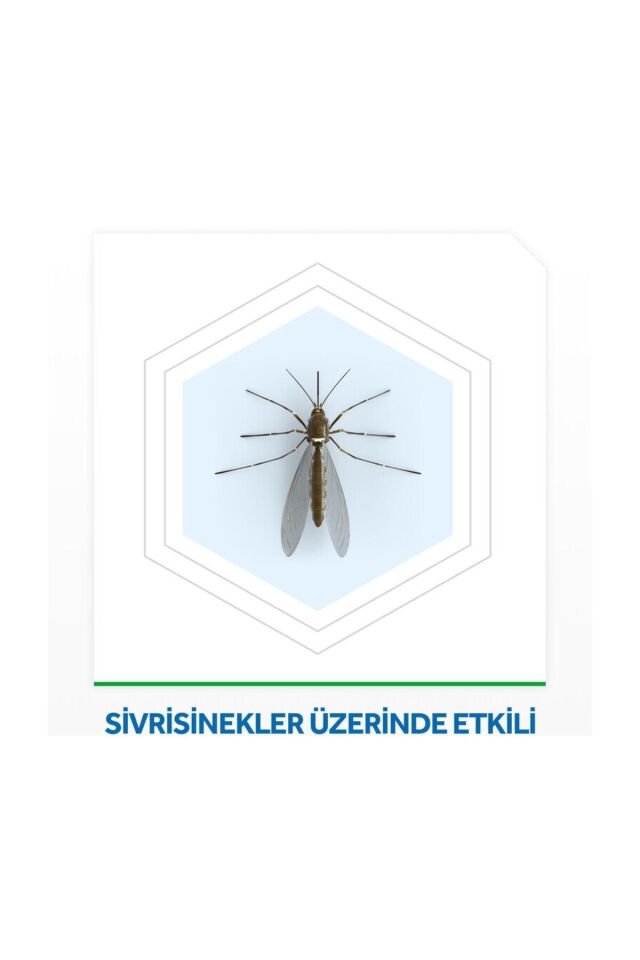 RAİD ELEKTRO LİKİT YEDEK ŞİŞE