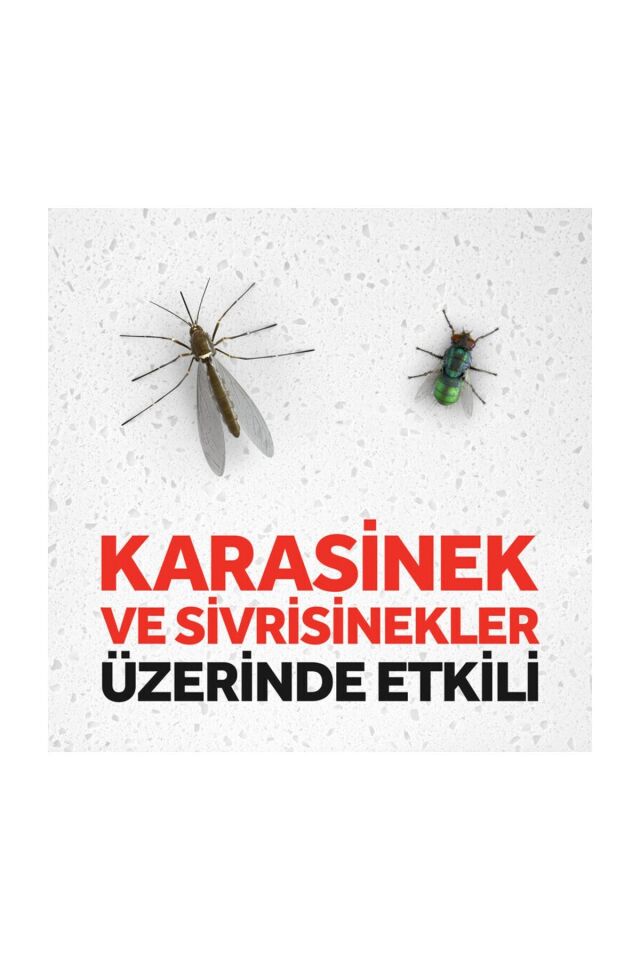 RAİD SİNEK SAVAR 2İN1 300 ML