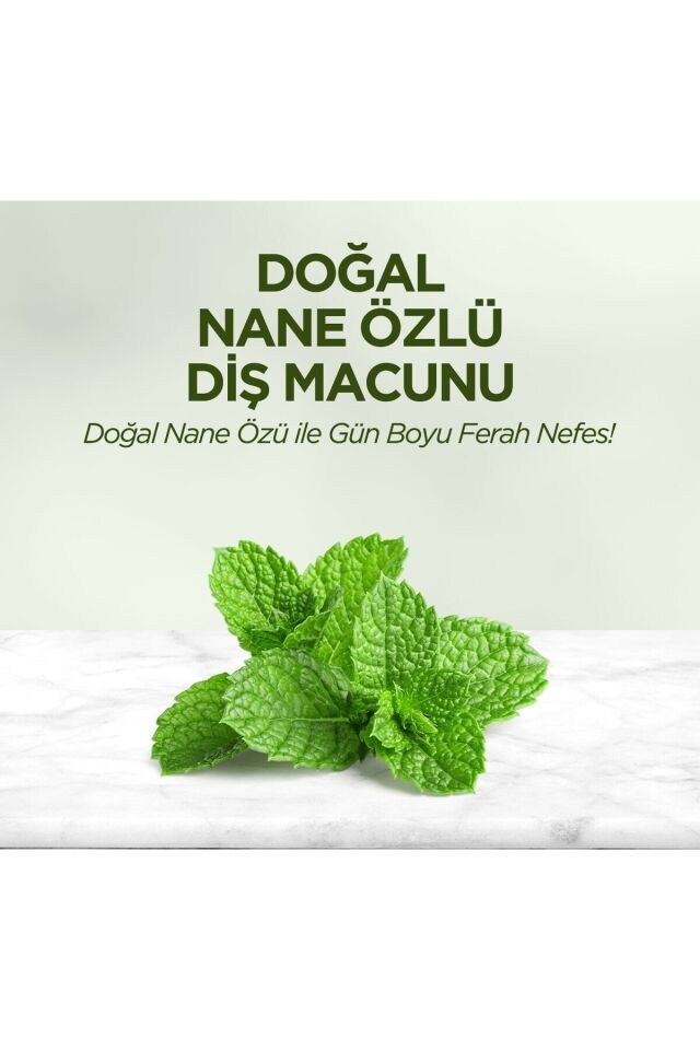 EYÜP SABRİ TUNCER DİŞ MACUNU DOĞAL NANE OZLU 90 ML