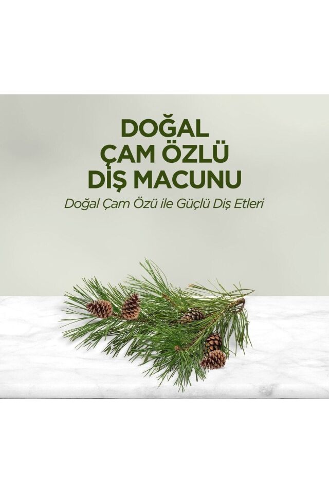 EYÜP SABRİ TUNCER DOĞAL ÇAM ÖZLÜ DİŞ MACUNU 90 ML