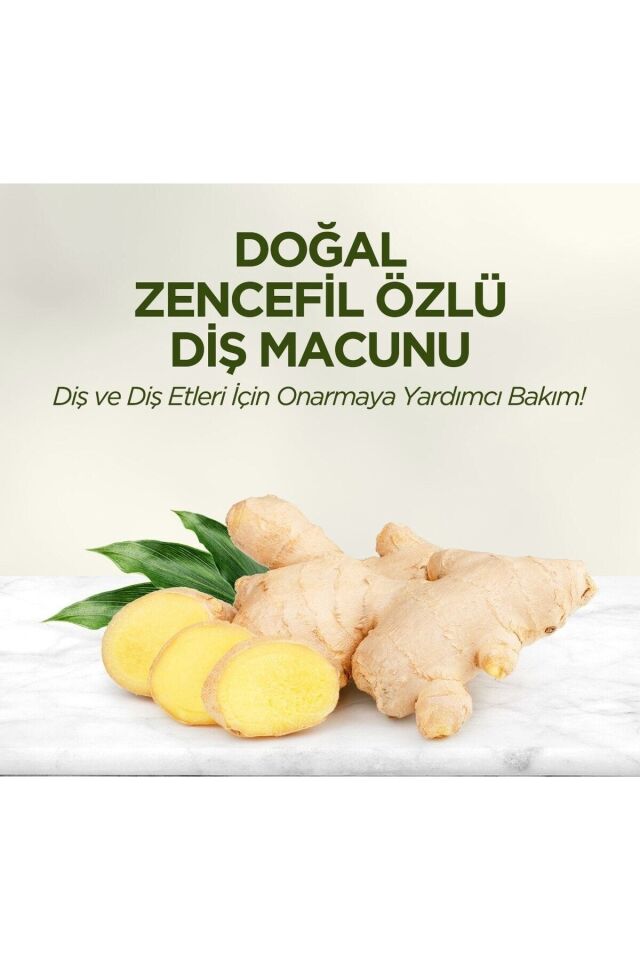 EYÜP SABRİ TUNCER DOĞAL ZENCEFİL ÖZLÜ DİŞ MACUNU 90 ML