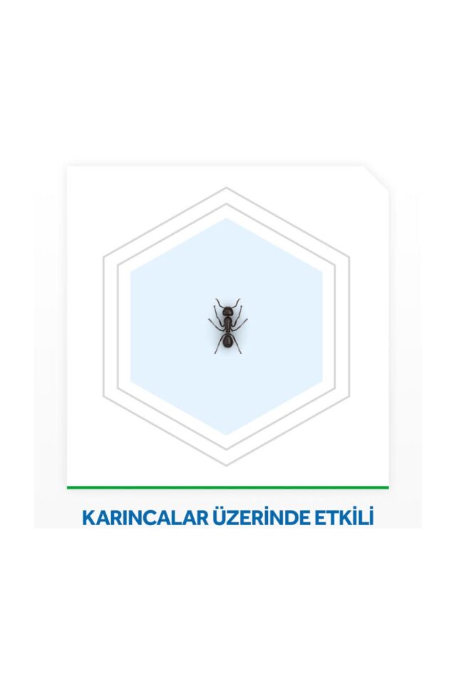 RAİD KARINCA YEMİ TEKLİ PAKET