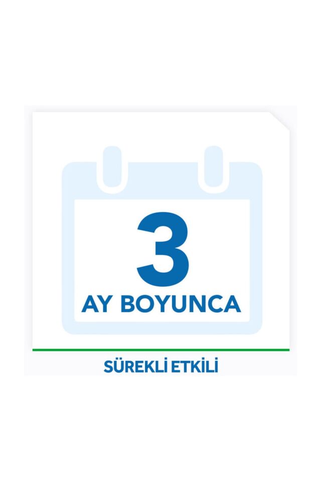 RAİD KARINCA YEMİ TEKLİ PAKET