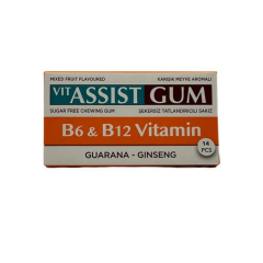 VIT ASSIST GUM VİTAMİNLİ GİNSENG AROMALI SAKIZ 12Lİ