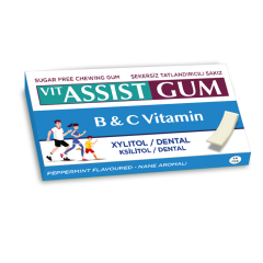 VIT ASSIST GUM VİTAMİNLİ NANE AROMALI SAKIZ 12 Lİ  İÇ ADETİ